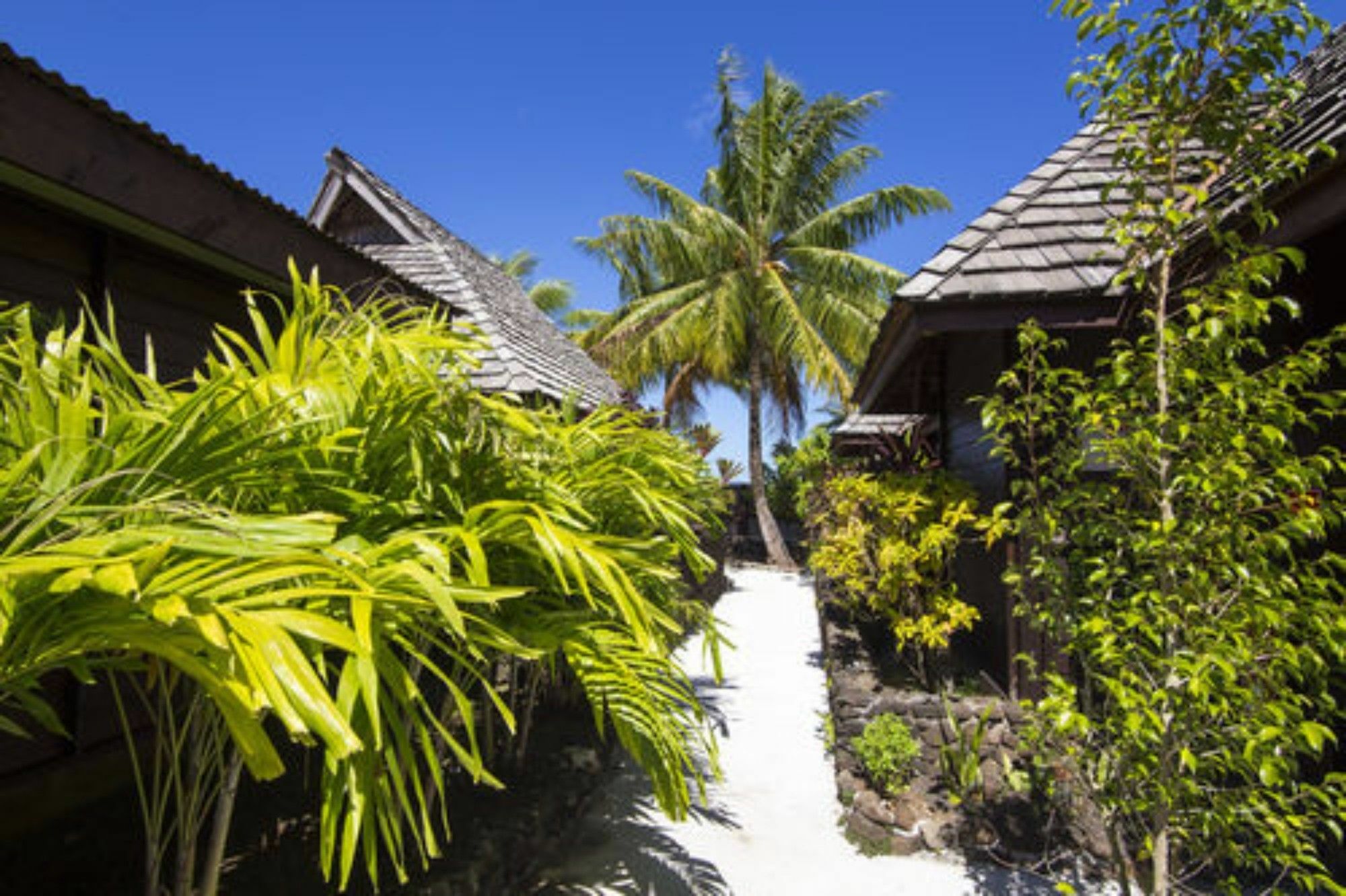 Oa Oa Lodge Bora Bora Dış mekan fotoğraf