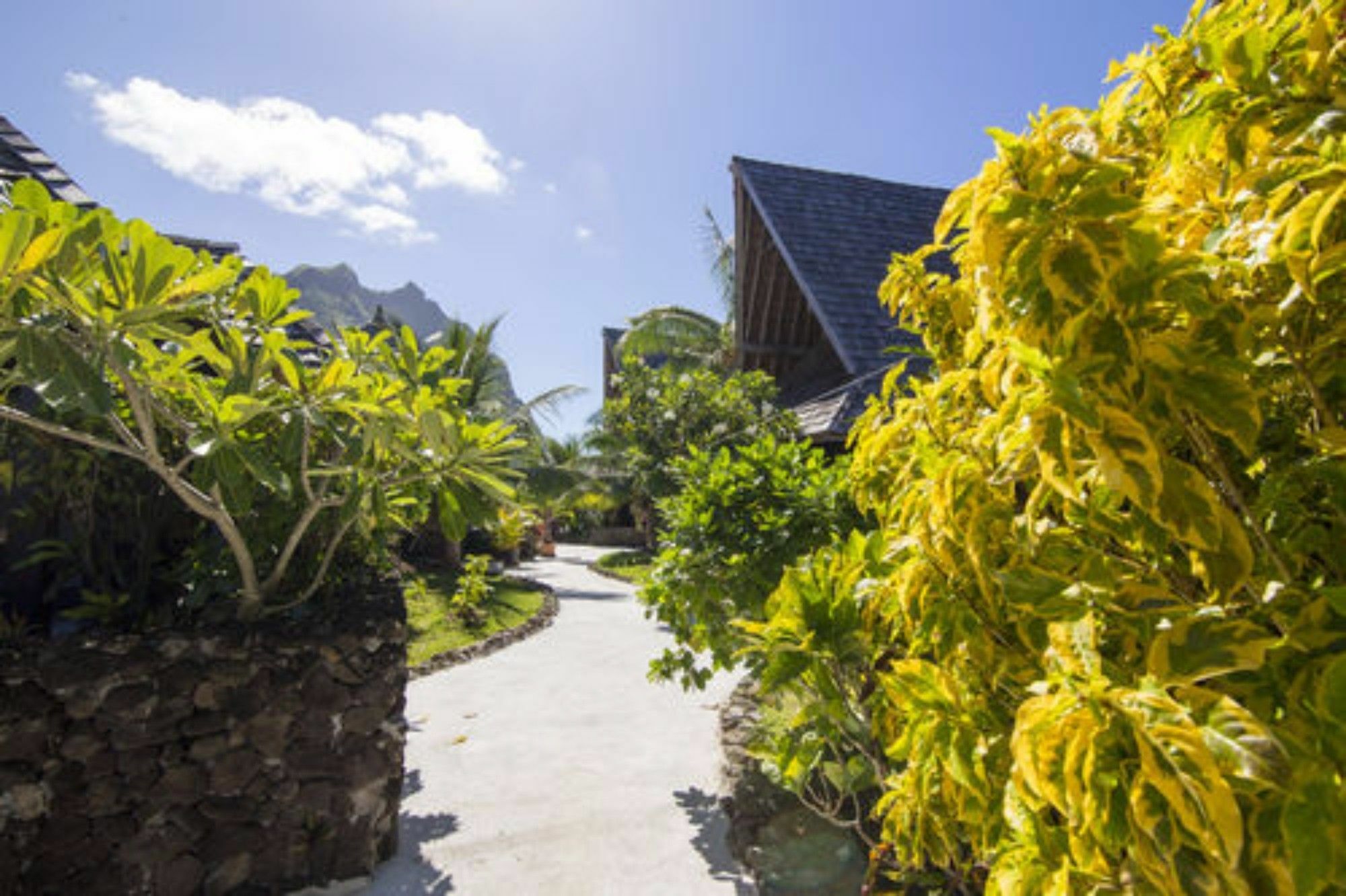 Oa Oa Lodge Bora Bora Dış mekan fotoğraf